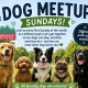 GVAD Dog Meetup Banner